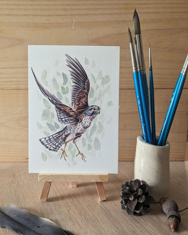Le Faucon crécerelle - carte A6