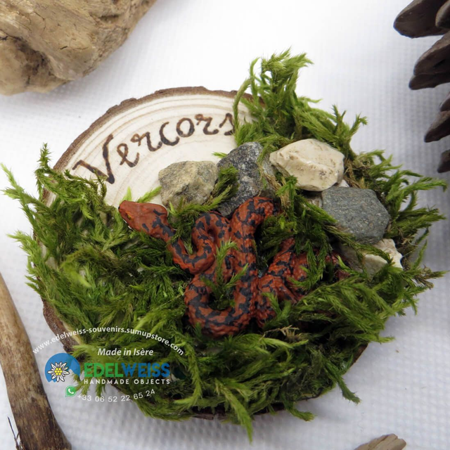 Vercors - vipère aspic