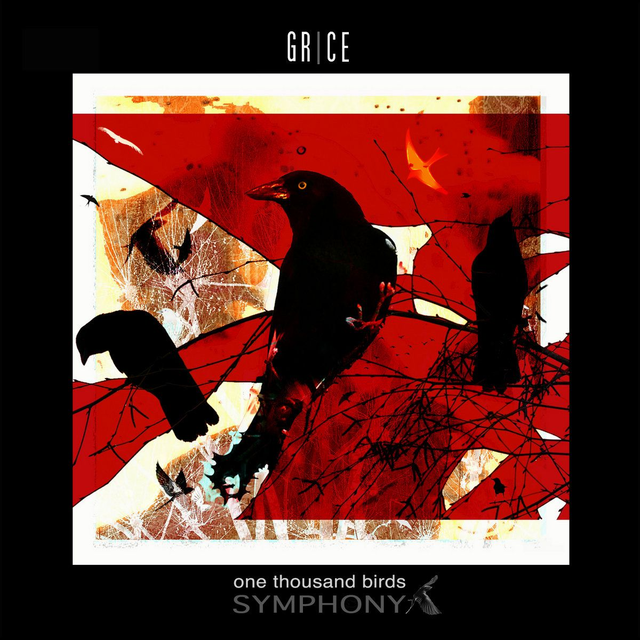 Grice - One Thousand Birds Symphony [CD]/HSP