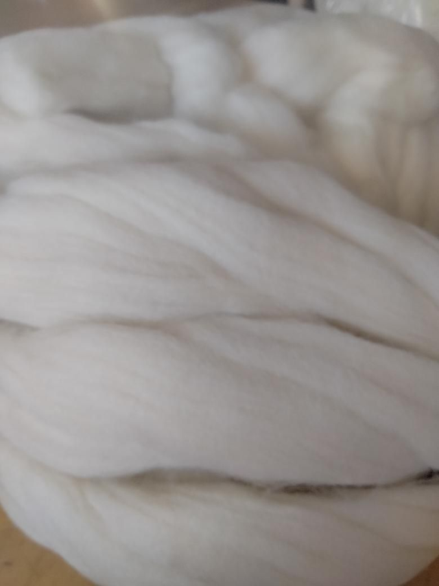 Shropshire laine meche 100g