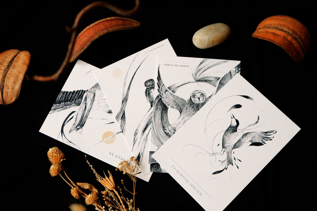 Pack de 4 cartes postales "Oiseaux Plumes"