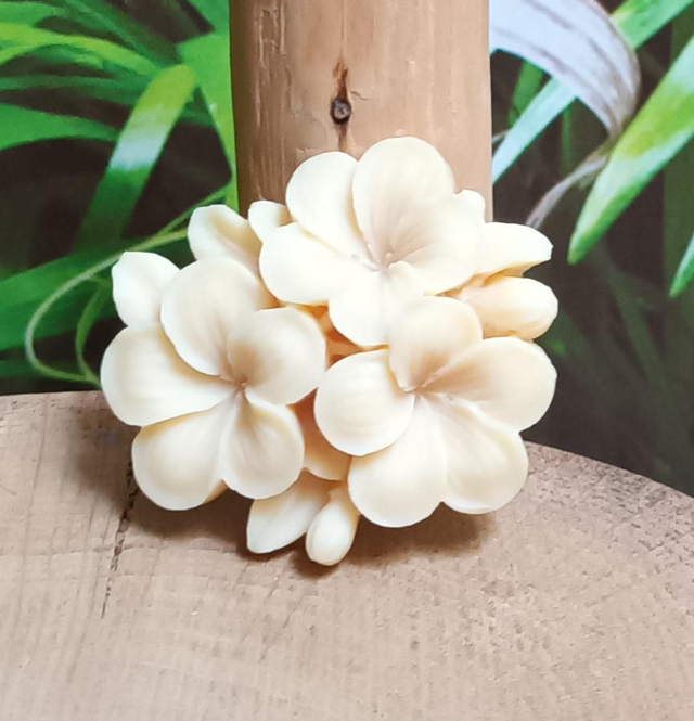 Fondant Parfumé &quot;fleurs&quot; Caramel Beurre Salé