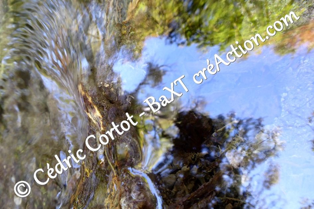 Impression sur alu dibond - Reflets et cours d'Eau (ref P1180767)