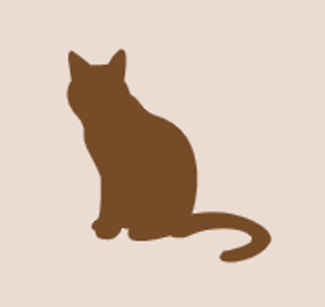 Gardiennage Chat (1x par jour)