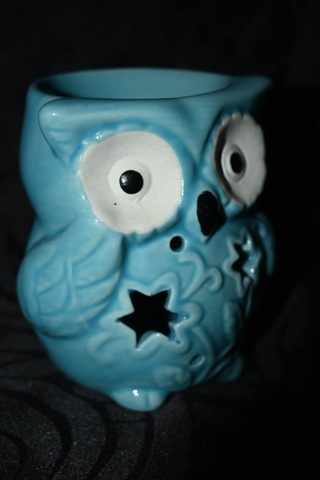 Brûle Parfum Hiboux Bleu avec Étoile – Fondants Parfumés, Ambiance Cosy et Zen