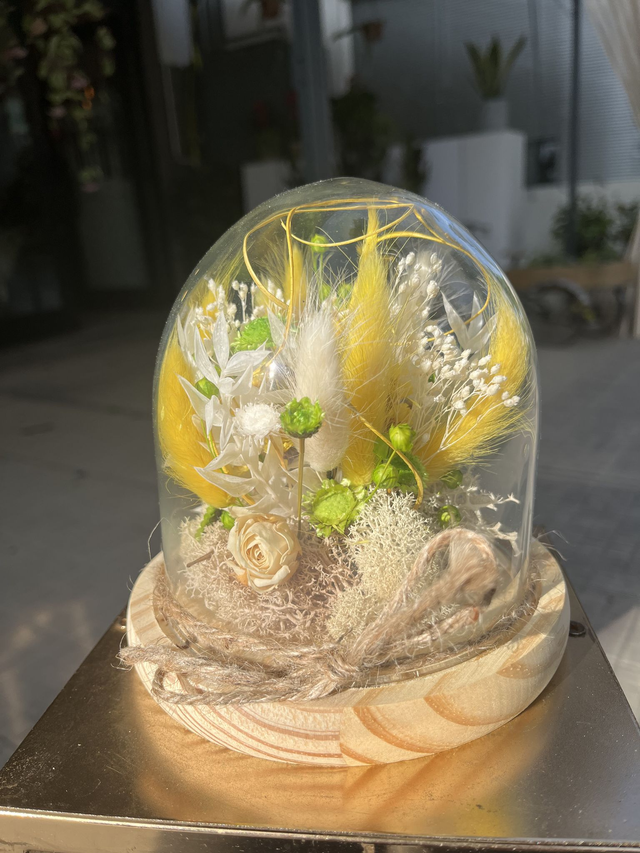 Campana con elementi secchi e stabilizzati