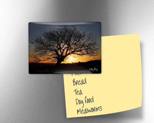 "Tree at Sunrise on Whitwell Moor" Fridge Magnet  