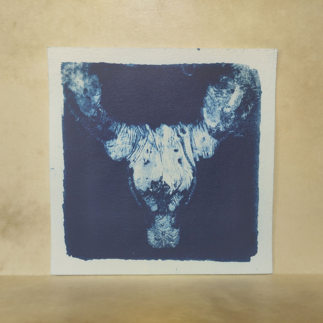 Cyanotype Empreinte "le Bélier"