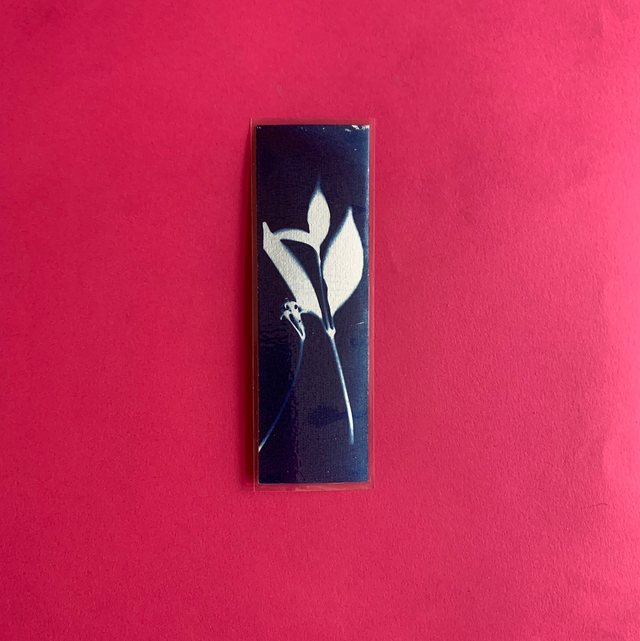 Marque page cyanotype végétal original sur papier épais et plastifié