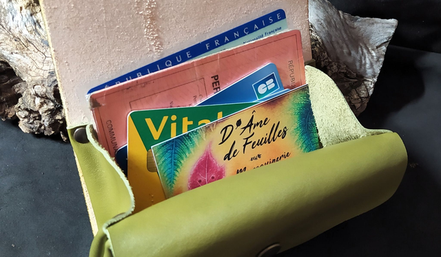 Porte Monnaie Soufflet- Feuille de figuier