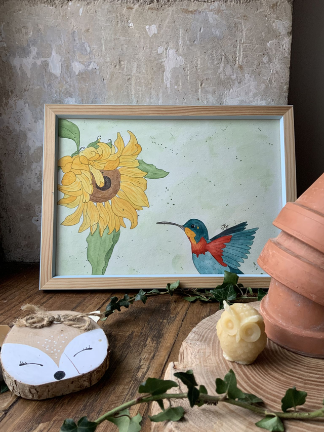 « Colibri flamboyant »