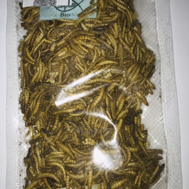 Camole della farina essiccate