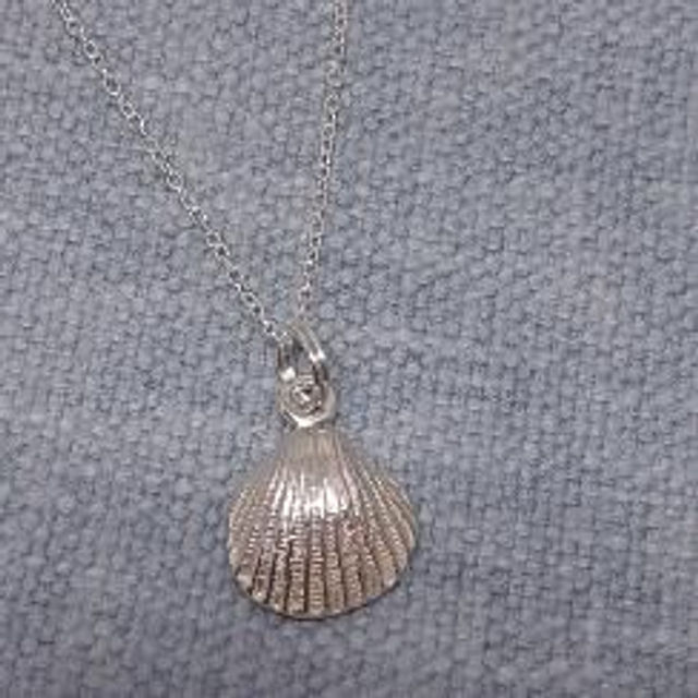 Shell pendant 