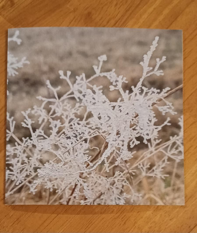 Icicle grass greetings card