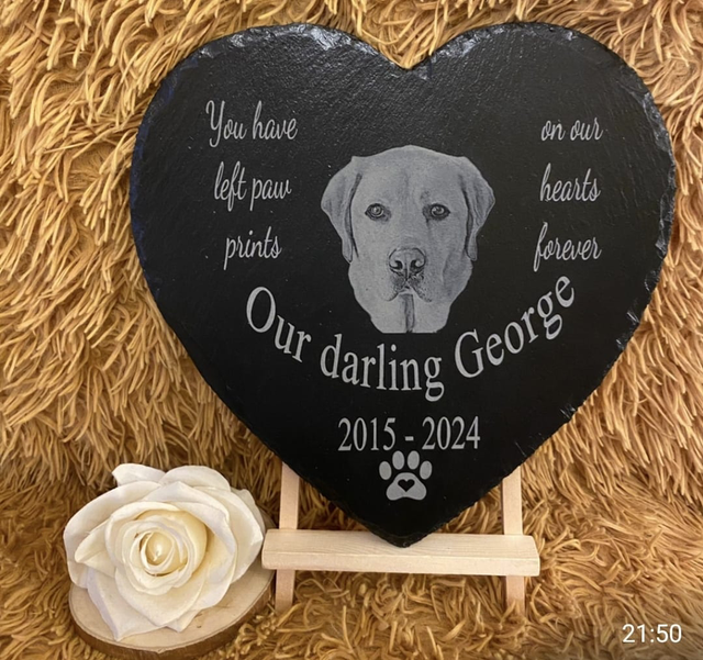 Pet Tribute 25cm Hearts 