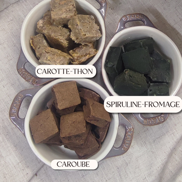 Les Carrés du Comptoir – Brownies naturels pour chiens