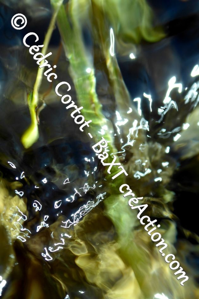 Impression sur alu dibond - Reflets et cours d'Eau (ref P1170520)