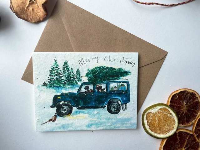 A6 Plantable Wildflower Seed Christmas Cards (Design Set 1)