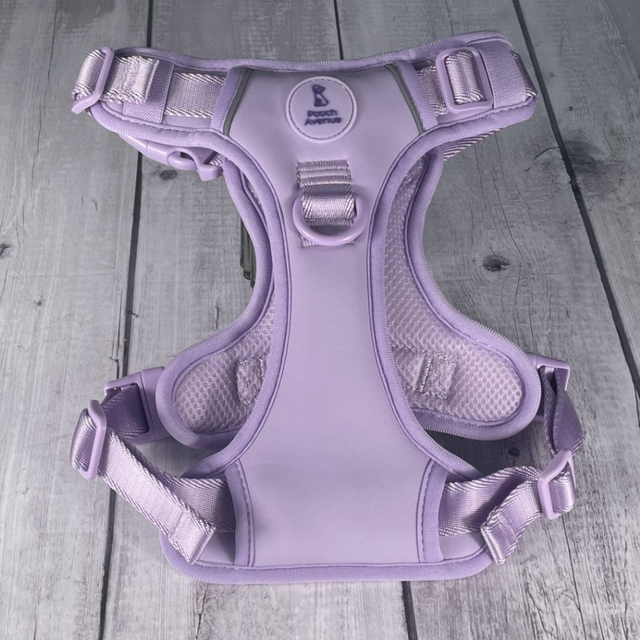 Lilac Comfort+ Explorer Harness