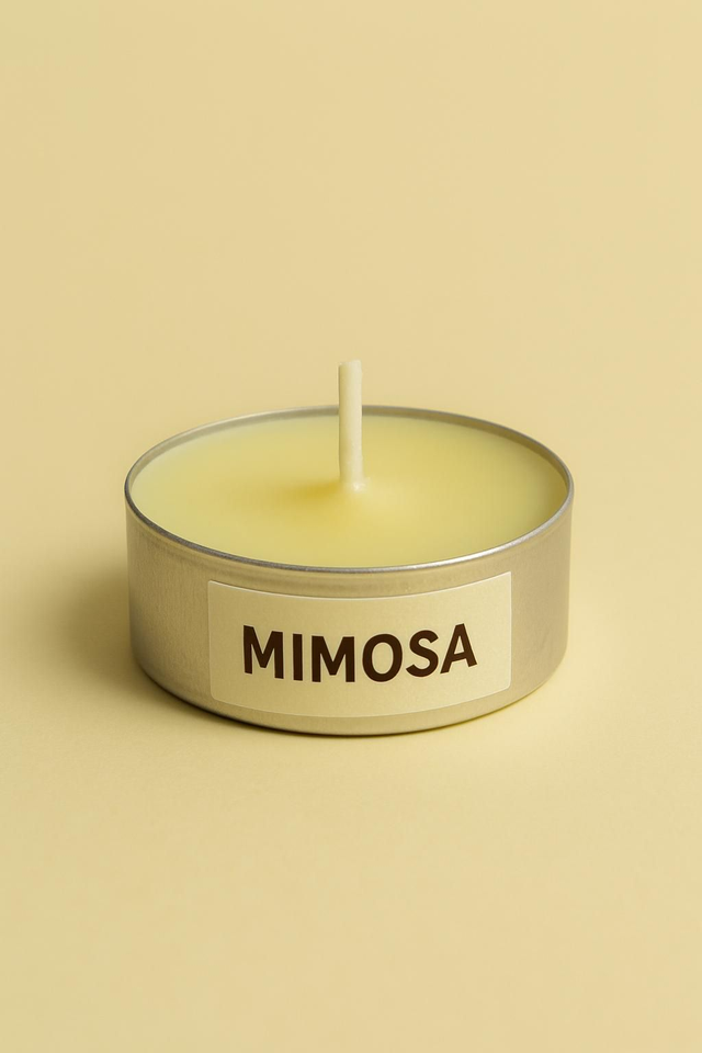 Mimosa