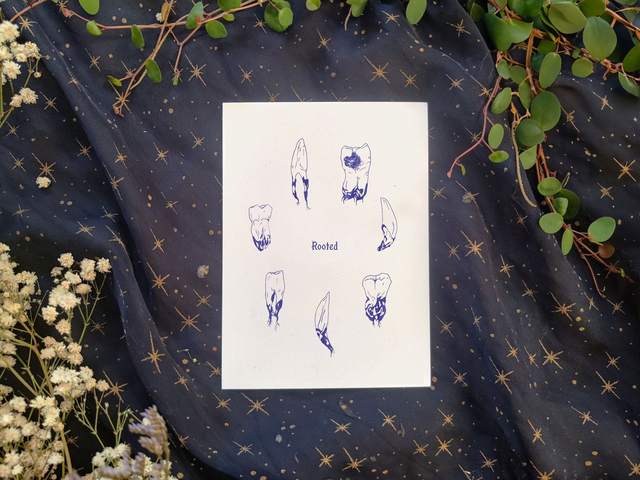 Teeth Rooted // Postcard