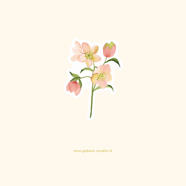 Sticker vinyle Hellebores