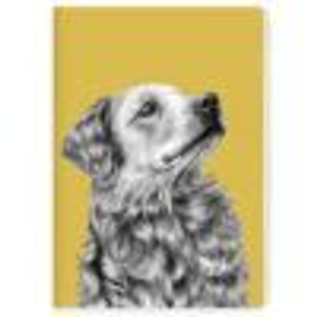 Goodchaps - Golden Retriever Notebook