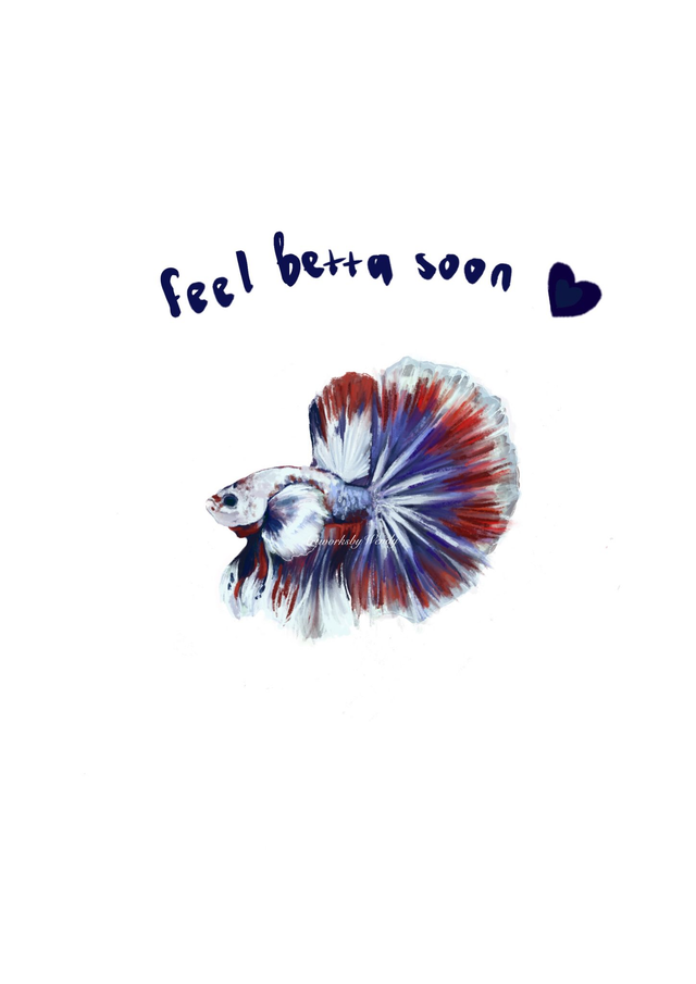 Betta Fish - Union Jack