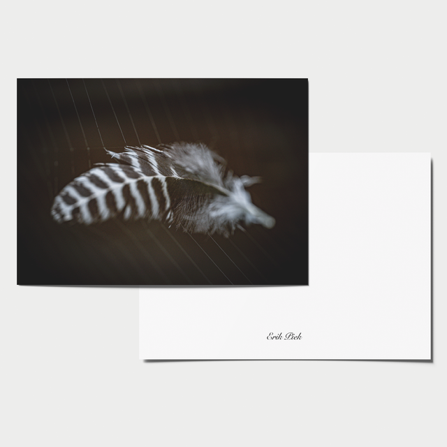 A6 kaart - Gevangen in een web 