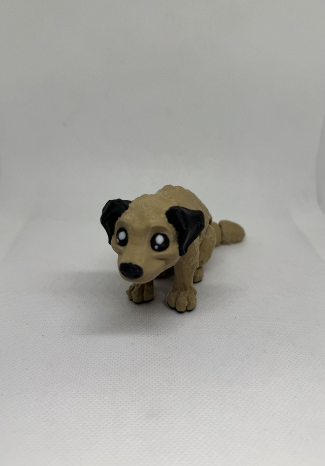 Chien