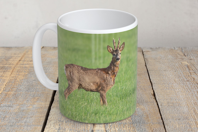 “Roebuck” Mug 