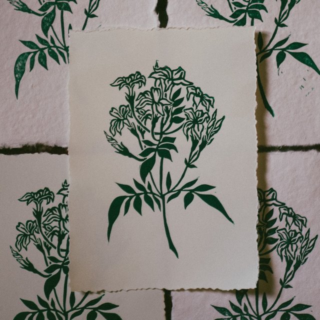 Linogravure - Jasmin - A6