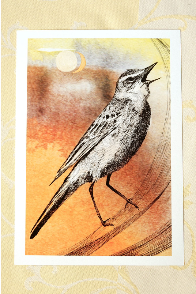 Le chant de la Bergeronnette