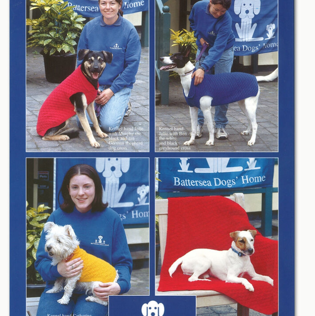 Sirdar Bonus DK Dog Coats and Blanket Pattern 5792
