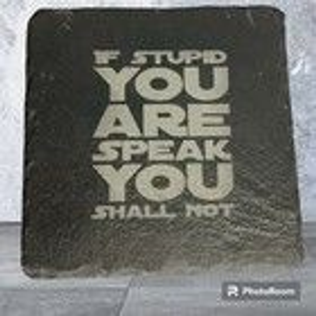 Slate Coaster - If Stupid You Are Speak You Shall Not