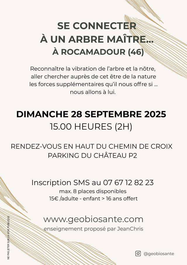 Se connecter à un Arbre Maître - Dimanche 28.09.2025