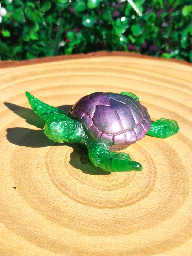 Tortue de mer
