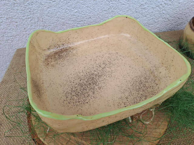 Večnamenska posoda lava