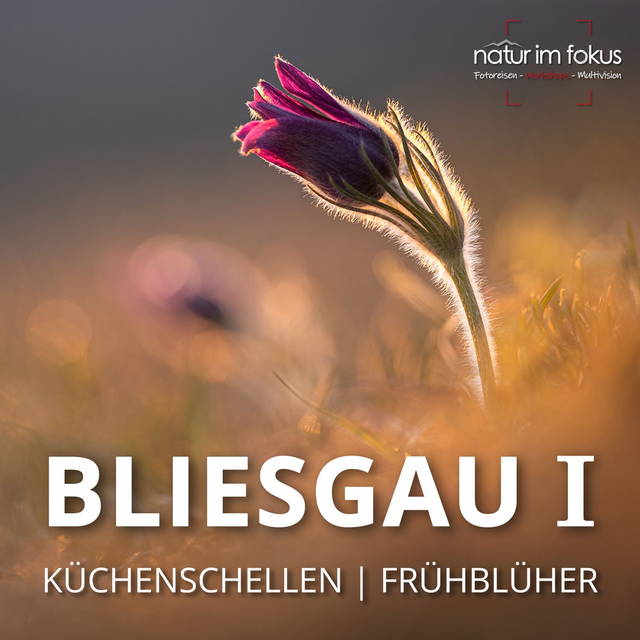 1-Workshop Bliesgau I – Küchenschellen – 21.-22.03.2026