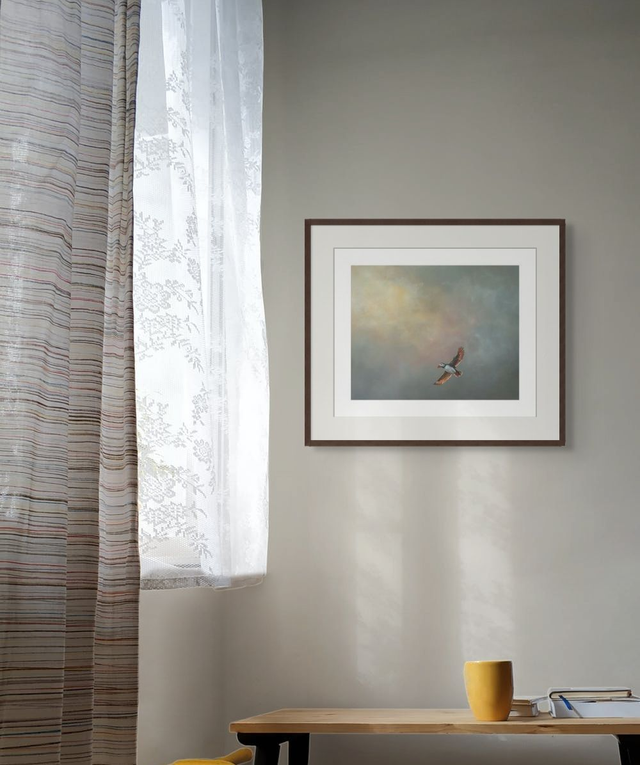 Safe Harbour - (Puffin)