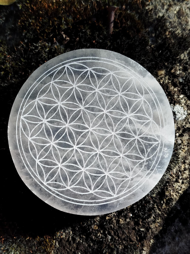 Disque en Selenite fleur de vie 
