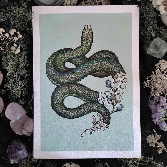 Art print ~ Snake skeleton
