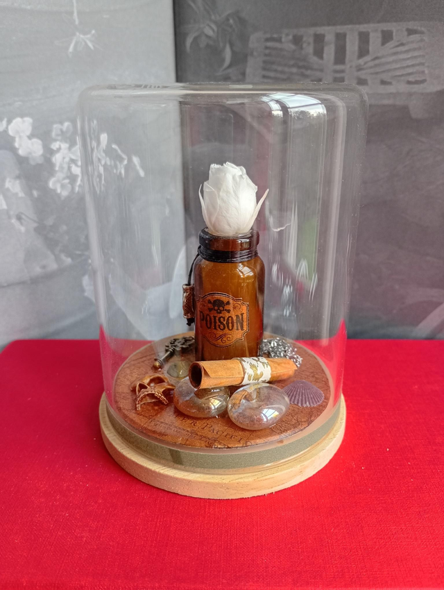 D25 Mini pirate blanc