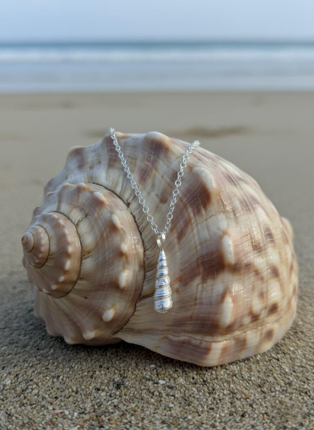 Turrettella shell necklace