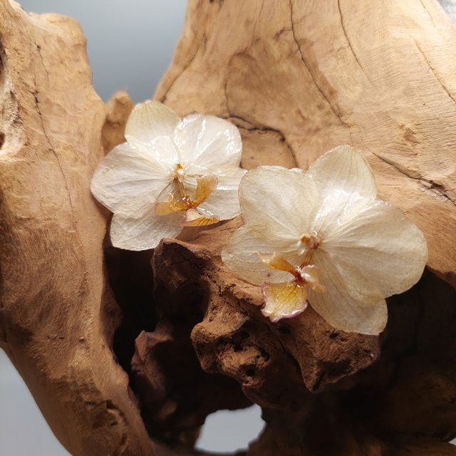 Boucles d’oreilles Orchidée – Bijou floral fait main