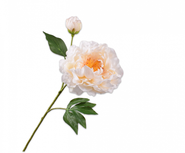 Silk-Ka Pioen Tak Creme 79cm