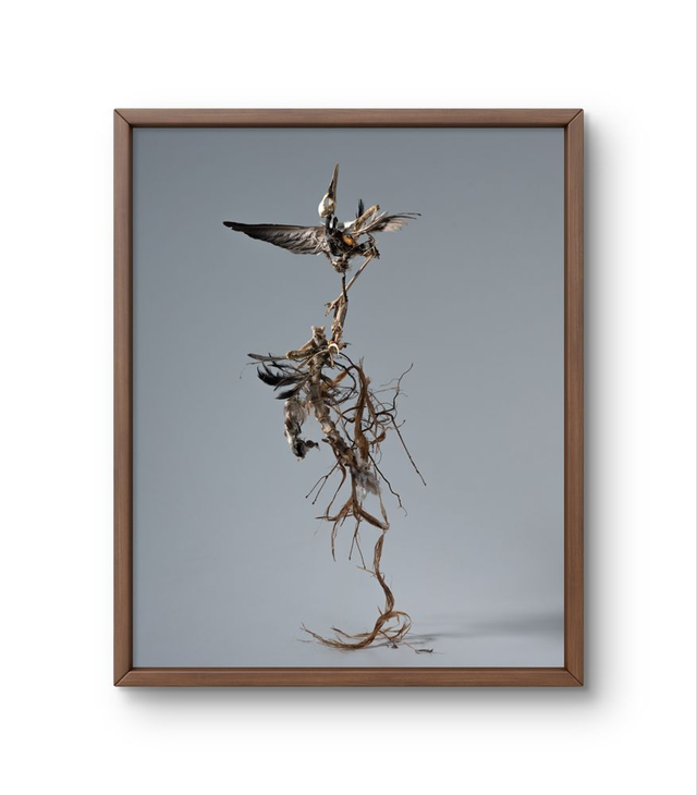 'The Force' Fine art print Framed 30x40 cm 