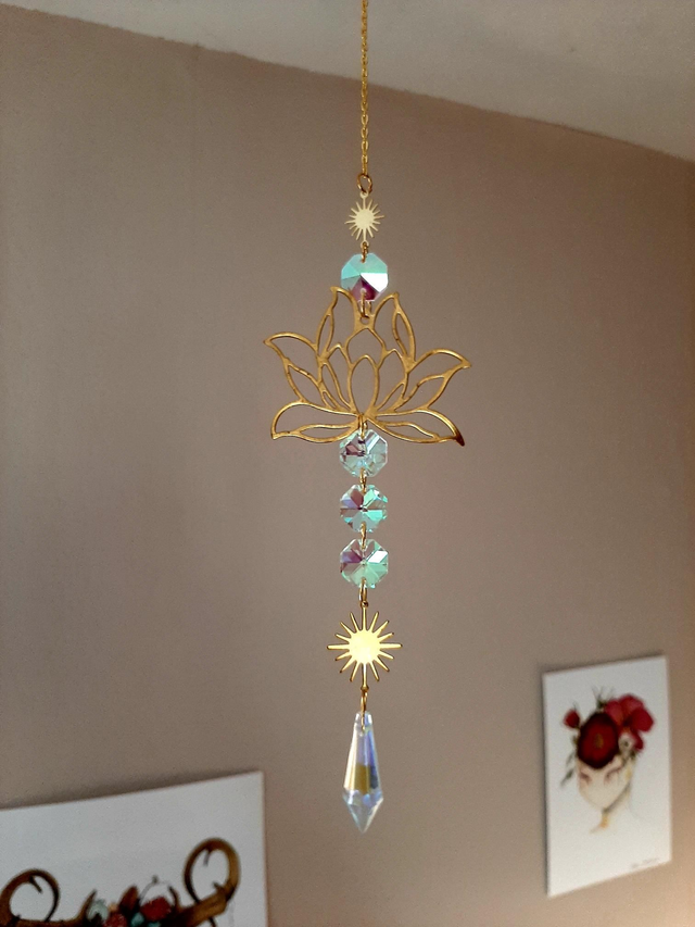 Attrape Soleil Lotus