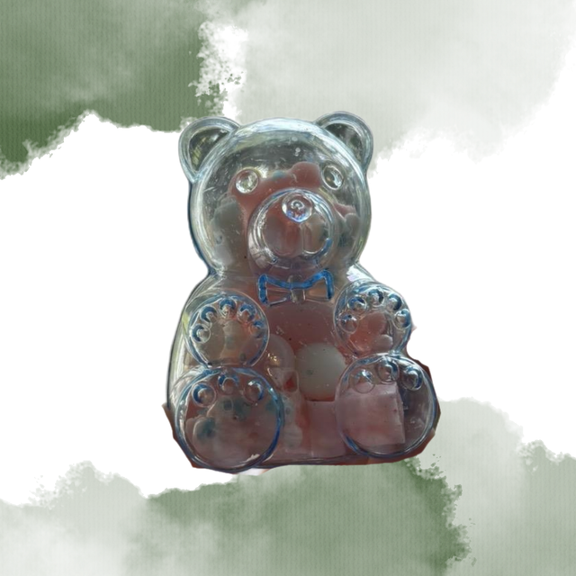 Bear Scoopies in a Cute Bear Plastic Case