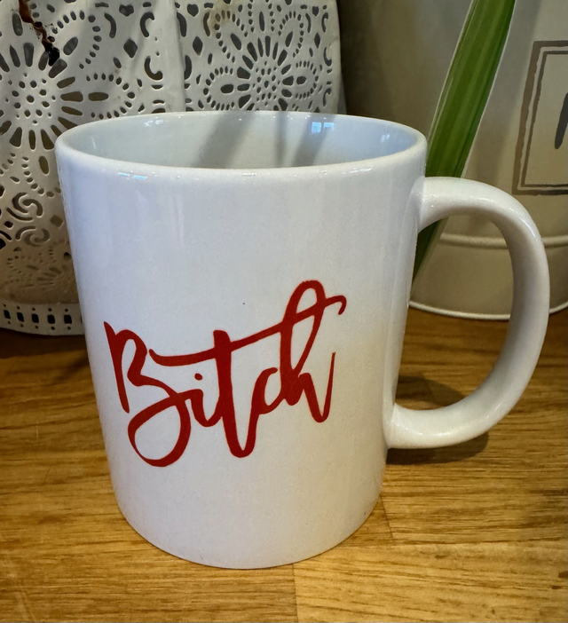 Just Rude! Mugs full of Bitches